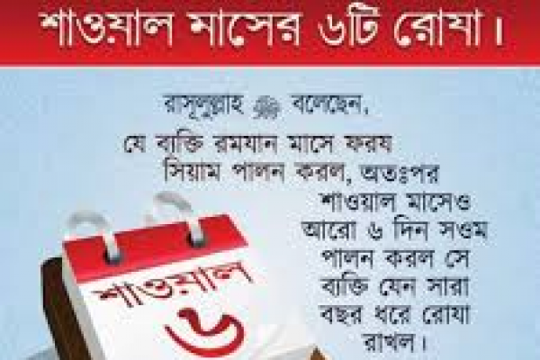 Islamic News BD - The Lesson of Peace